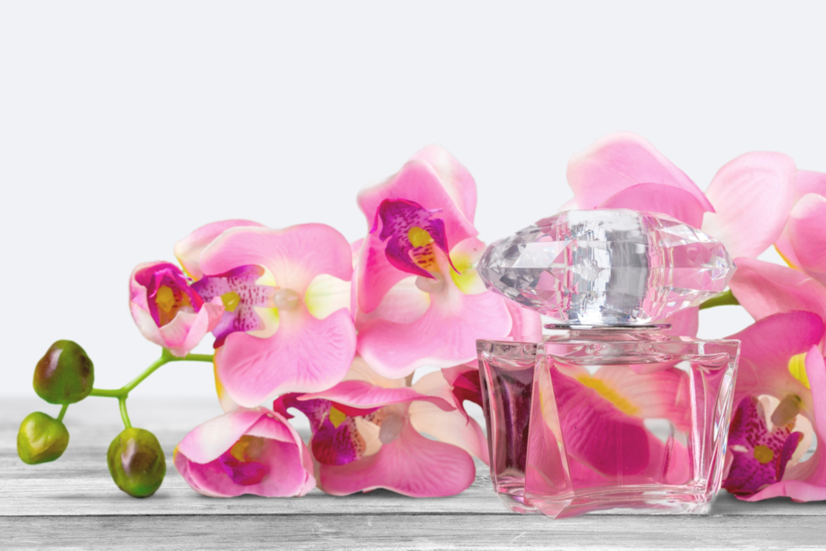 Духи и моноароматы Ле букет » Парфюм Le Bouquet Parfait от EVA Blog